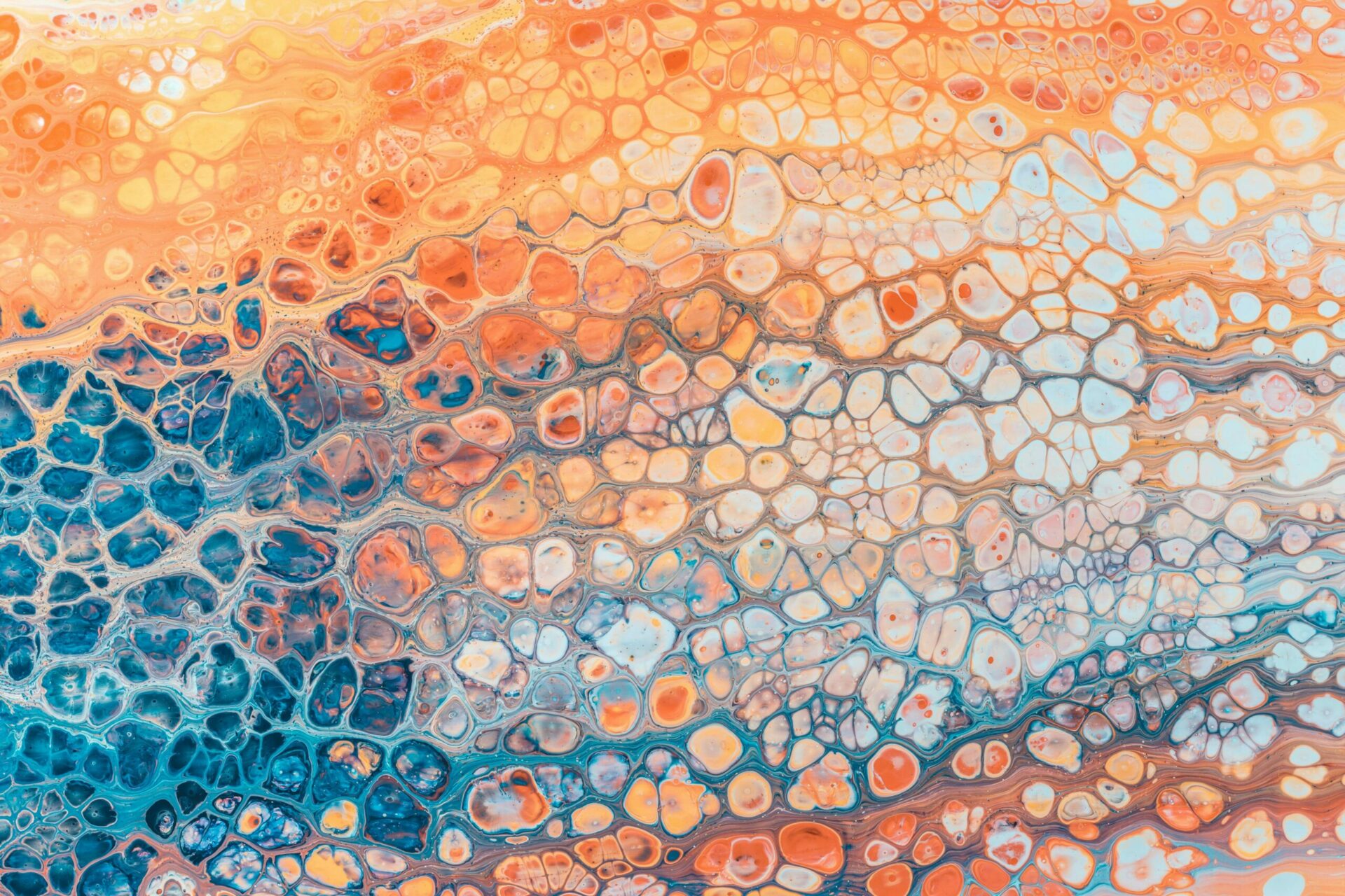 Pawel Czerwinski (Unsplash)
