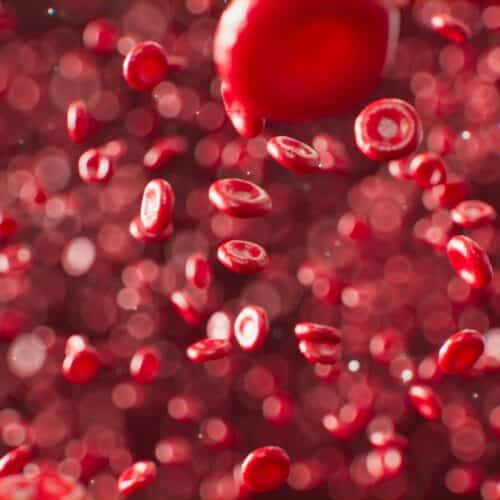 Un liquide rouge rempli de bulles